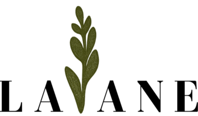 Logo with the word 'LAVANE' and a green leaf on a white background